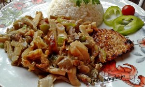 karajszelet laskagombás raguval1