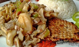 karajszelet laskagombás raguval3