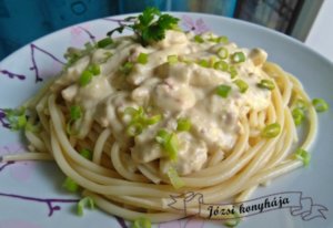 tejszines-sajtos-csirkeragu1